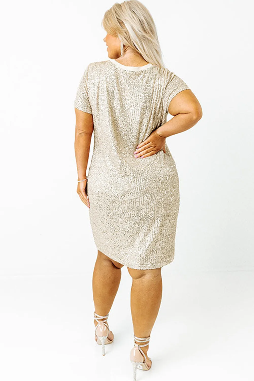 Plus Size Sequin Dress